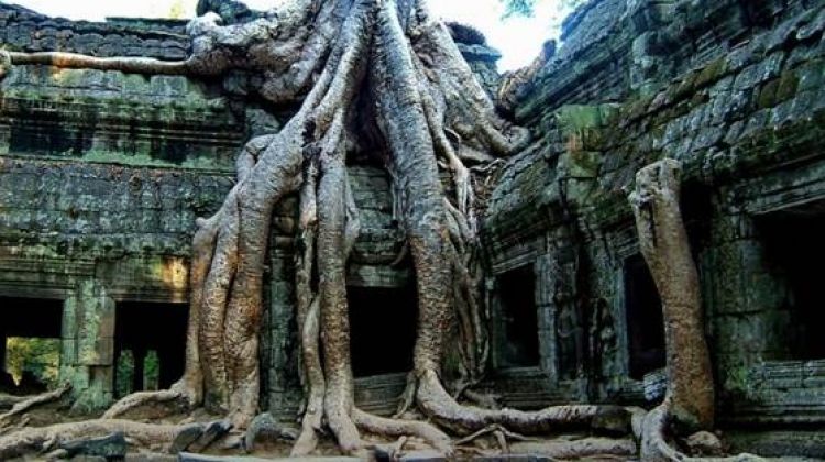 Siem Reap Beng Mealea Tour - Tours by groupTours by group | Laos private  tour, Laos group tour, Laos adventure tour, Laos classic tour, Vientiane  tour, Luangprabang tour